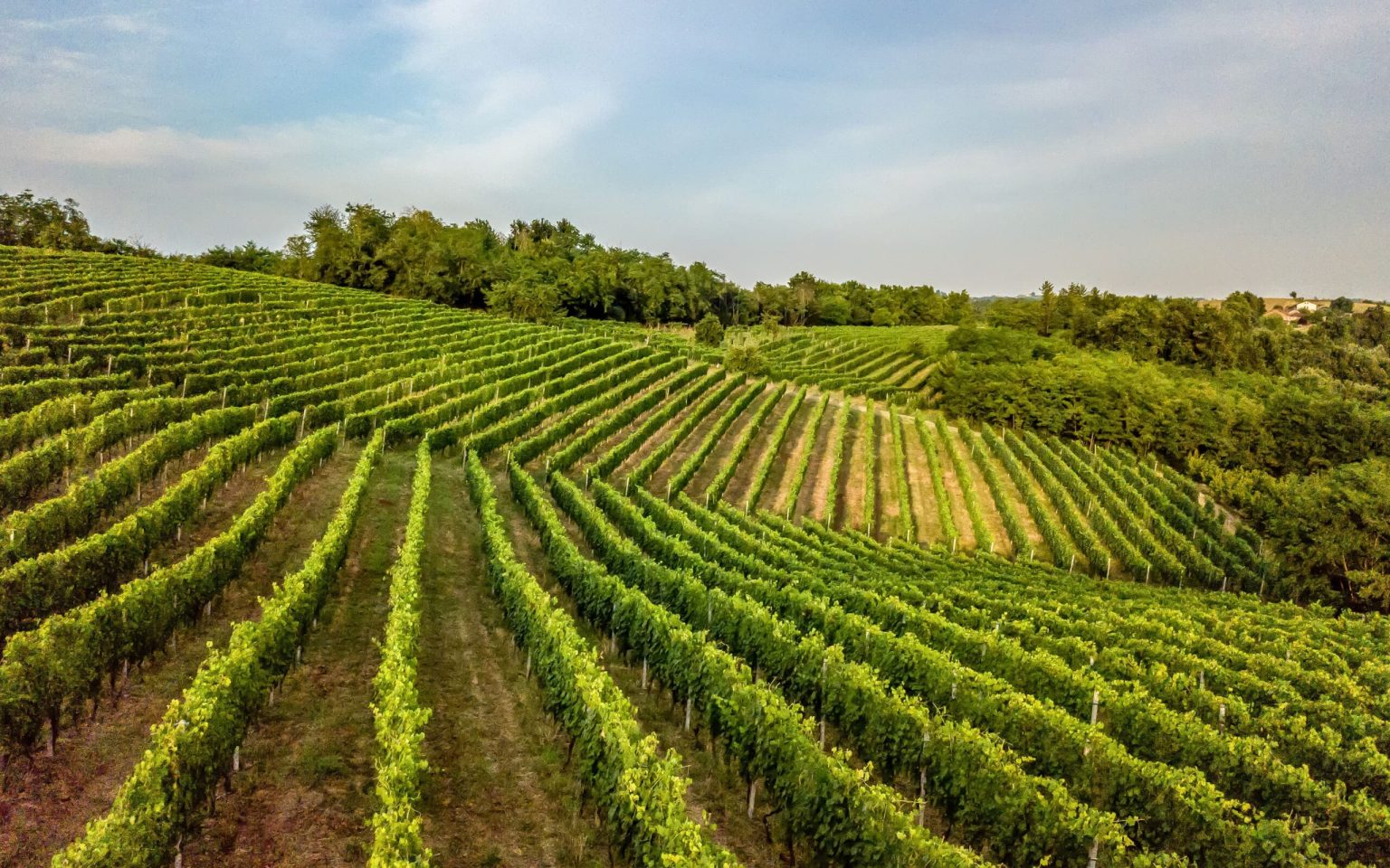 montagnetta_gallery_02-scaled